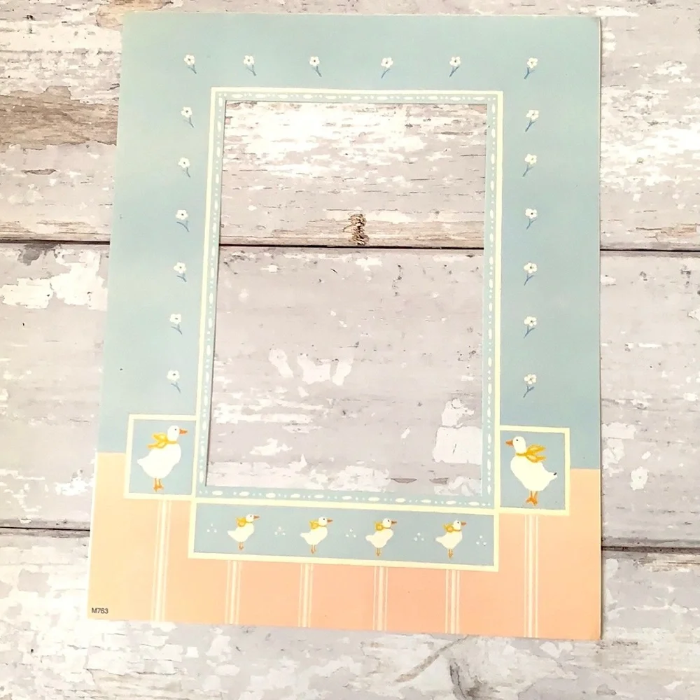 Picture Photo Frame Inserts Mats Matting Spring Floral Prints Set of 4 Bundle